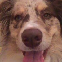Prison Cora (@prisoncora) 's Twitter Profile