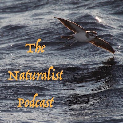 Celebrating the World Around Us. Subscribe on your favorite platform, and join our Facebook group “The Naturalists”!