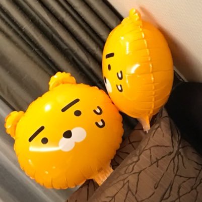 雑食ぬなぬな*\(^o^)/*INFINITEみょんすBTSててしゅがSHINeeきーBAP でひょん TVXQちゃんみんが出発点
