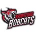 Brantford Bobcats (@brantfdbobcats) Twitter profile photo
