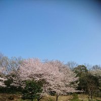 じょん紋次郎 (@jackalfrommisso) 's Twitter Profile