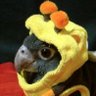 mkultra_fan's profile picture. email enthusiast and business hobbyist. i will come to your party and spend the whole time petting your dog.
I block corporate accounts and advertisers.