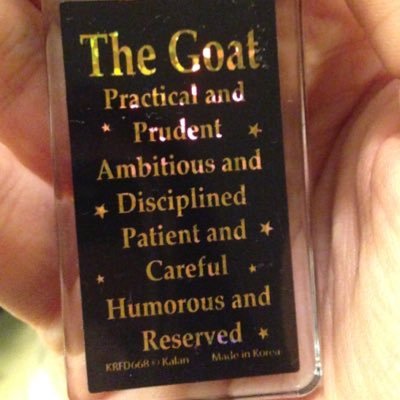 Avidreader1991's profile picture. 