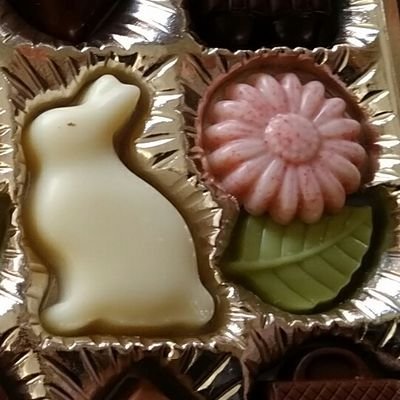 いないよ