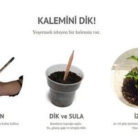Çiçek Açan Tohumlu Kalem 🌻(@cicekacankalem) 's Twitter Profile Photo