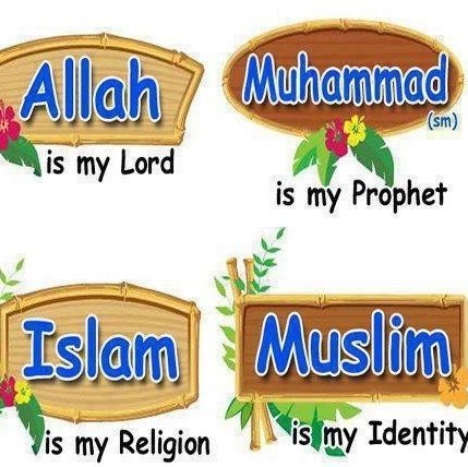 Ismail_keh's profile picture. 