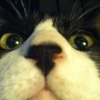 N-Boon (@n_nboon) 's Twitter Profile