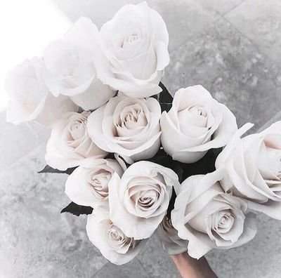 yanaBatrisy's profile picture. HAR HAR