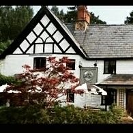 Cottage Of Content (@cottagecontent) 's Twitter Profile