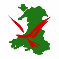 Birds of Wales (@birdswalesproj) 's Twitter Profile Photo