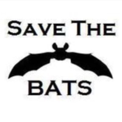 We are a nonprofit organization that works for the protection and conservation of bats and bat habitats across the globe! #savethebats. Contact:1-(203)-807-1784