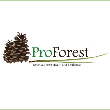 Multi-institutional team working to protect forests and fostering resilience by identifying threats and providing solutions. Based at U. of Florida.