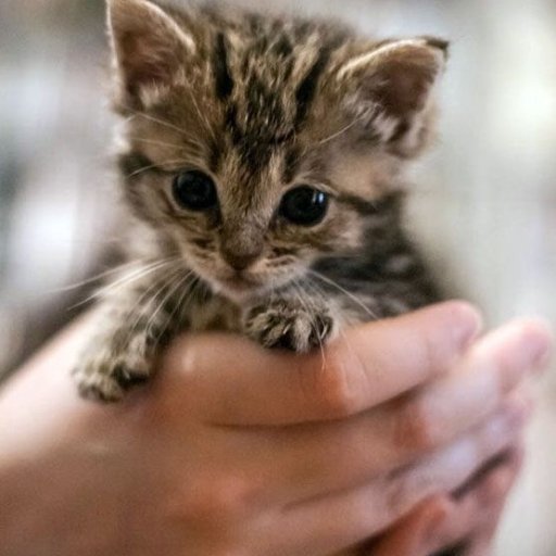 #love animal #love nature #love the whole world