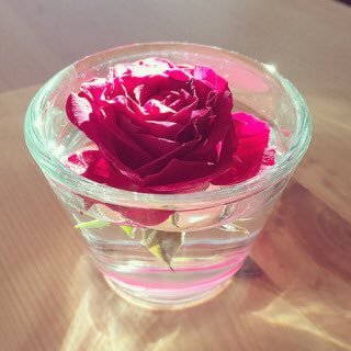 emiirri's profile picture. 18/12/10ダイエット開始🏃‍♀️不安障害の治療で半年で20キロ増。眠剤だけになったので、ダイエット意気込むも、反動なのか過食症発症😈一進一退の日々🥺Start65kg(165cm)→目標48キロ。 無言フォローすみません🙏