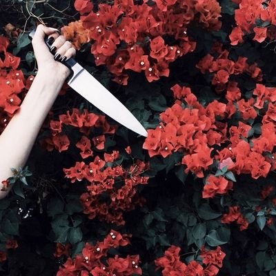 PSjy55YUomcblfj's profile picture. Люблю пожрать и поржать🍭|Нарциссистка💙
Ларин💕|Skam✨|Lil peep👑