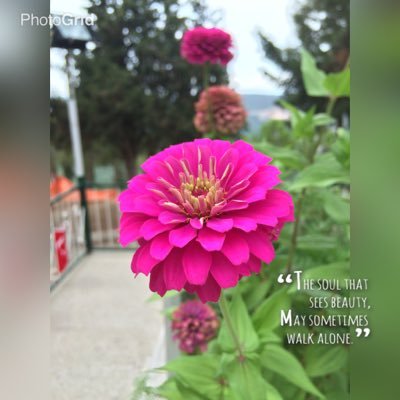 bal10dor's profile picture. 