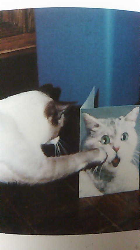 minori1980's profile picture. ビールがすき。気もそぞろな毎日