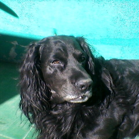 gemin60's profile picture. 