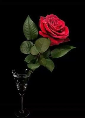 aliahmaddxb21's profile picture. 