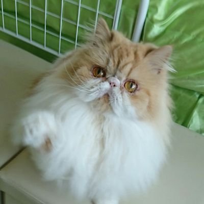 エリナさんのプロフィール画像