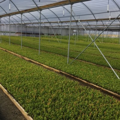 Farmtech_cl's profile picture. Desarrollamos tecnología para aplicaciones agrícolas y control de procesos.