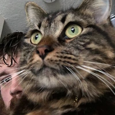 apage43's profile picture. ⚠️🔧⌨️🔥 subliminal, liminal, superliminal