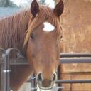 Edwin Bender - @EHBender - Twitter