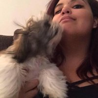 Cassondra (@cassondrawhat) 's Twitter Profile