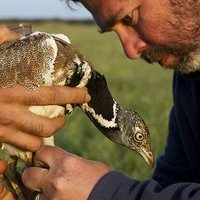 João Paulo Silva (@jpcampbellsilva) 's Twitter Profile