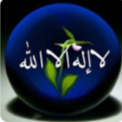 boFwfumNTwGWALQ's profile picture. 