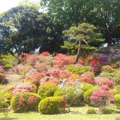 50代主婦。
最近子育てが落ち着いてきたので、新しいことにチャレンジして自分の時間をもっと充実させたいと思っています!
仕事は、WEBデザイン(インハウスデザイナー)、グラフィックデザイン、イラスト作成。
趣味はリラックスすること、健康食、散歩、断食、運動。
Twitter勉強中です✨
