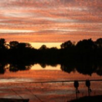 Secret Lake #REFORM (@secret_lake) 's Twitter Profile Photo Secret Lake #REFORM (@secret_lake) 's Twitter Profile Photo