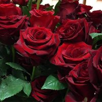 استغفر الله العظيم (@fehed_alreshd) 's Twitter Profile