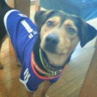 LetItGo💙💛 (@letitgo78137235) 's Twitter Profile Photo