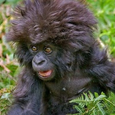 no_thanks_fam's profile picture. y tho