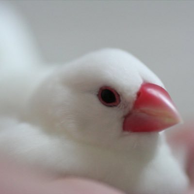 Sun_M0123's profile picture. 藝大フィルハーモニア管弦楽団コントラバス首席 有益な情報は呟けないのですが。日常