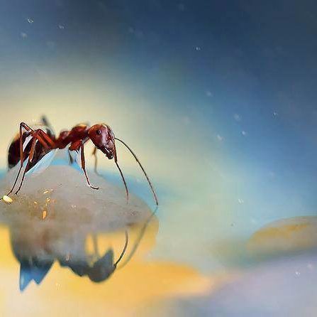 cloudrobotai's profile picture. Robot will control the world