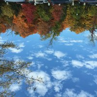Ceasalt (@gcwas) 's Twitter Profile