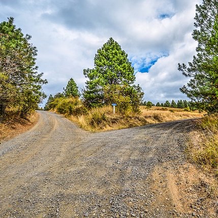 divstrat's profile picture. Adapting and growing with the market. Tweets are never advice or endorsements.