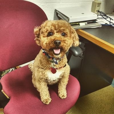 gloriajih's profile picture. molecular biologist