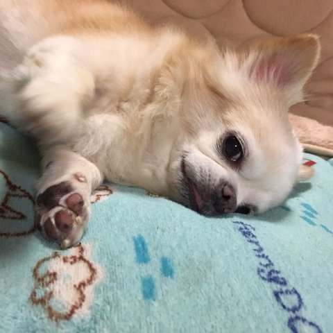 RubyRubyさんのプロフィール画像