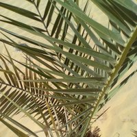 Wadi Sahara - North Africa Sahara Desert (@wdesrt) 's Twitter Profile