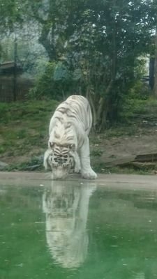 JustMehema's profile picture. Naturellement spontanée