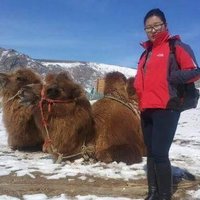 selenge (@selenge_03) 's Twitter Profile