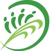 CCNCI (@ccnciph) 's Twitter Profile