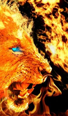 Hardflow12's profile picture. 