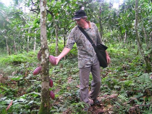 Occasional cocoa farmer in Cameroon but usually found in Nairobi talking ICT Shared services