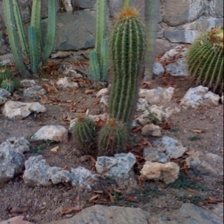 slapslider's profile picture. Ce qui ne te tue pas te rend plus fort. Ce qui te tue te rend mort.