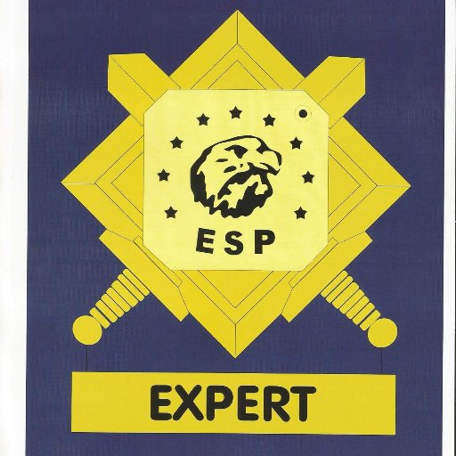 Sectech_NG's profile picture. 