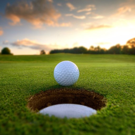 AugustineResort's profile picture. 